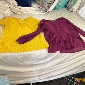 Lot of two gorgeous Anthropologie tops